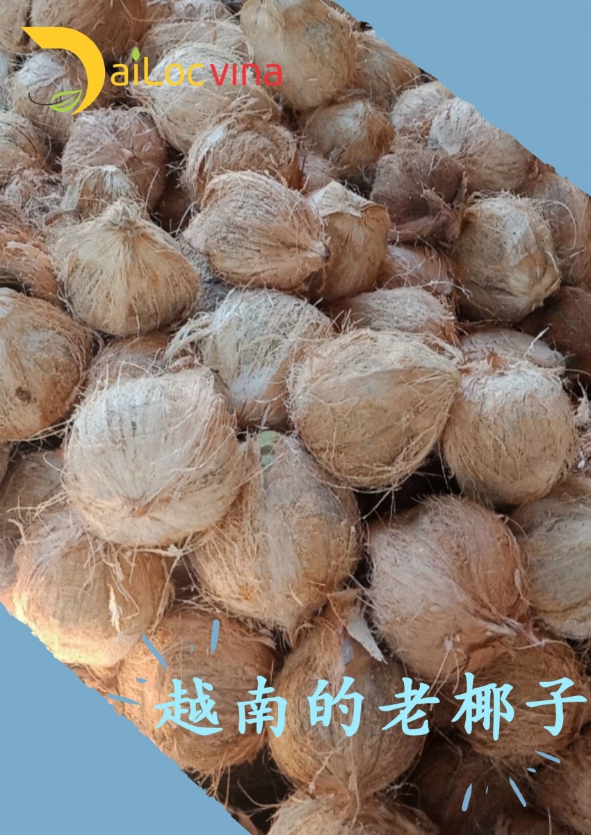 越南的老椰子，天然進(jìn)口食品，無(wú)公害產(chǎn)品