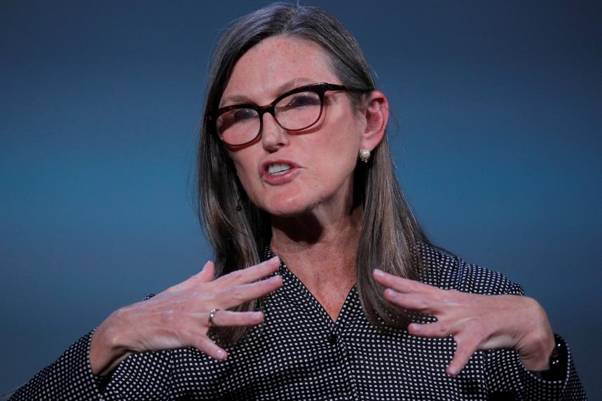 Cathie Wood, founder and CEO of ARK Investment Management LLC, speaks during the Skybridge Capital SALT New York 2021 co<em></em>nference in New York City, U.S., September 13, 2021.  REUTERS/Brendan McDermid/File Photo