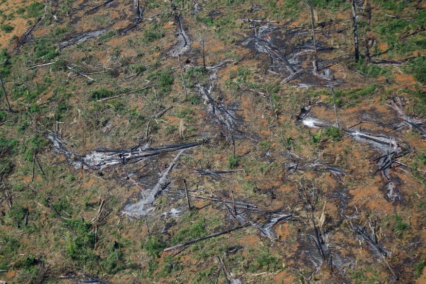 An aerial view shows a deforested plot of the Amazon rainforest in Ro<em></em>ndonia State, Brazil September 28, 2021.  REUTERS/Adriano Machado