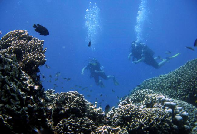 Scuba divers swim past fish along a coral reef off the west coast of Zanzibar island, Tanzania, December 4, 2007. REUTERS/Finbarr O'Reilly 