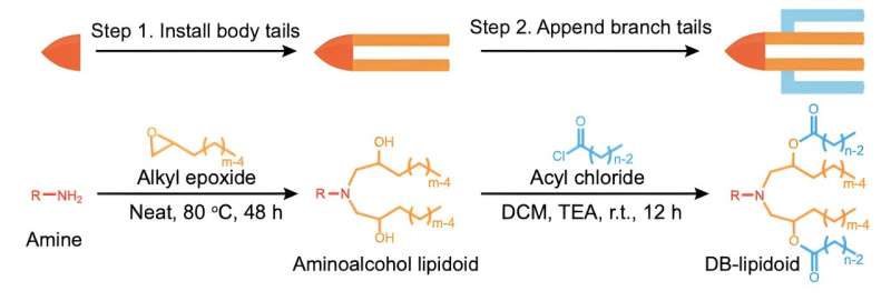 A moo<em></em>nshot for obesity: New molecules, inspired by space shuttles, advance lipid nanoparticle delivery for weight control