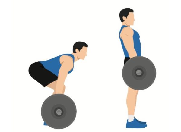 illustration of barbell deadlift