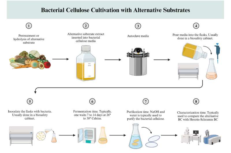 Innovative approaches to bacterial cellulose production