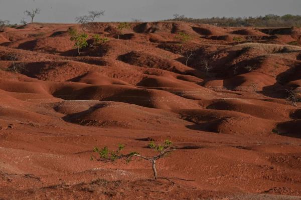 Picture taken at the Desert of Gilbues, in Gilbues, in the northeastern state of Piaui, Brazil, on September 30, 2023. Gilbues is Brazil's worst desertification hotspot, wher<em></em>e a parched, canyon-pocked landscape is swallowing up farms and residences, claiming an area bigger than New York City. — AFP pic