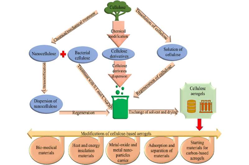 Sustainable solutions: The rise of cellulose in water remediation