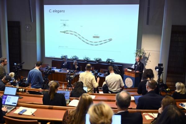 Olle K?mpe (right), professor of clinical endocrinology, explains the work of this year's Nobel Prize in Physiology or Medicine laureates Americans Victor Ambros, and Gary Ruvkun during a press co<em></em>nference at the Karolinska Institute in Stockholm, Sweden, on Monday. (AP)