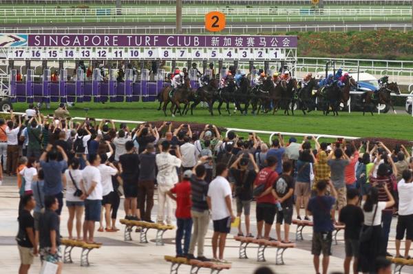 ‘It is a historic event’: Final chapter for 182-year-old Singapore Turf Club as over 10,000 gather to mark end of horse racing in Kranji (VIDEO)