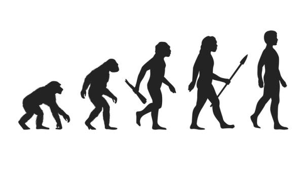 Evolving human diagram