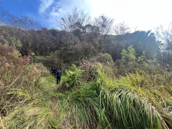 Rescuers in the heavily-forested Quarry Course just north of Tampa, Florida. 