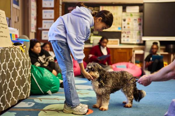 chip with a student