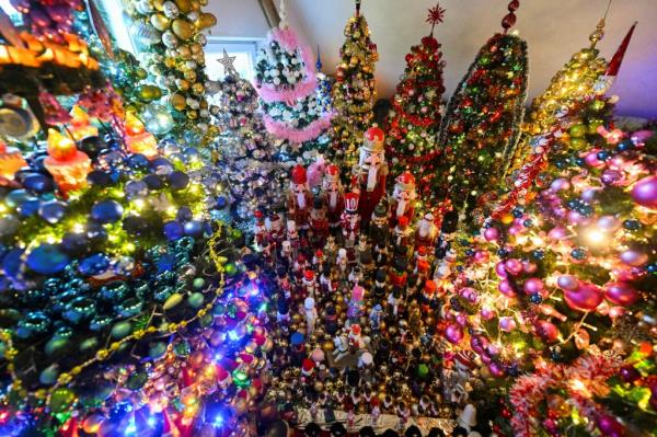 Livinig room filled with 605 decorated Christmas trees held by record holders Susanne and Thomas Jeromin in Rinteln, Germany