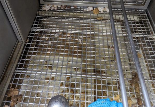 a dirty cage used to hold mo<em></em>nkeys at AGI