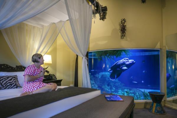 A “Reef Room” at Jamala gives 24-hour views of the aquarium.