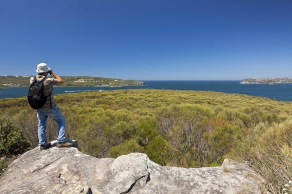 Walking trails with epic views at Sydney Harbour Natio<em></em>nal Park.